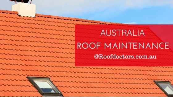 The Summer Essential Roof Maintenance Tips To Be Followed By Everyone