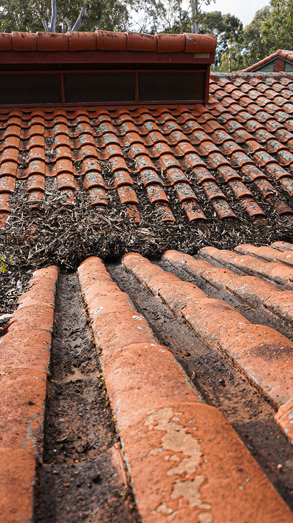 Gutter Cleaning